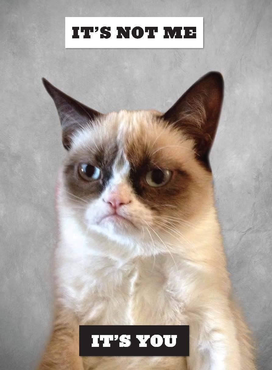 grumpy cat